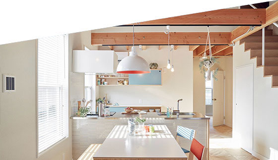 House in Color Plywood
